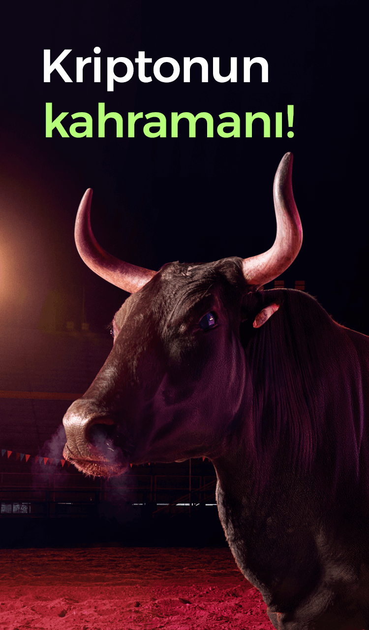 BitHero Kriptonun Kahramanı Footer Banner